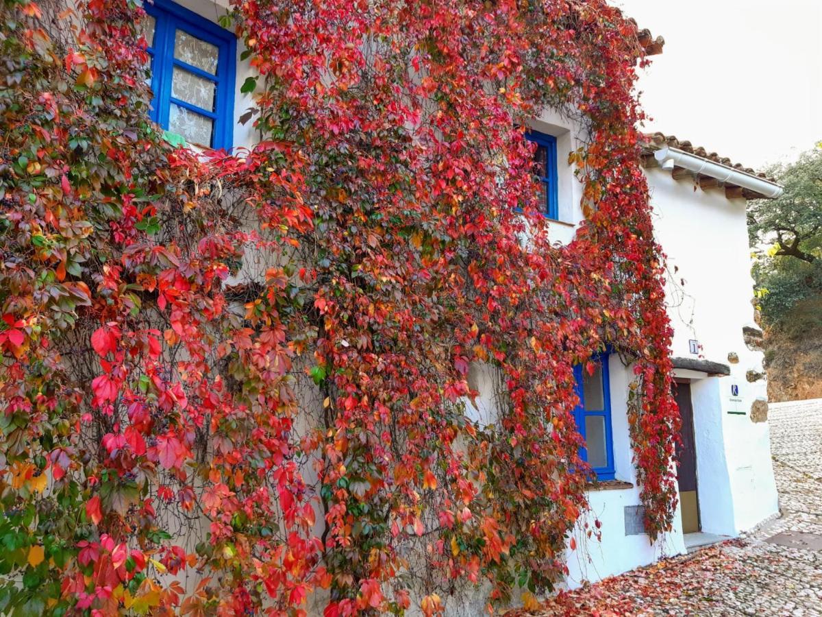 Casita Collado 1 Villa Alájar Eksteriør bilde